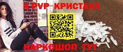 дмт Новозыбков