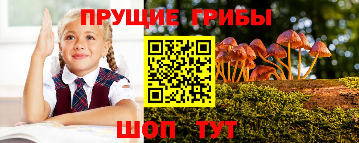 Псилоцибиновые грибы мицелий Тулун