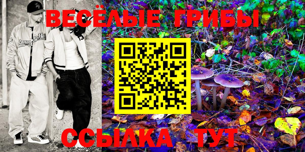 Тулун  Псилоцибиновые грибы Psilocybe  Вход с VPN 